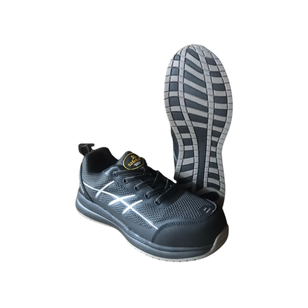 Safetoe Cygni L-7389